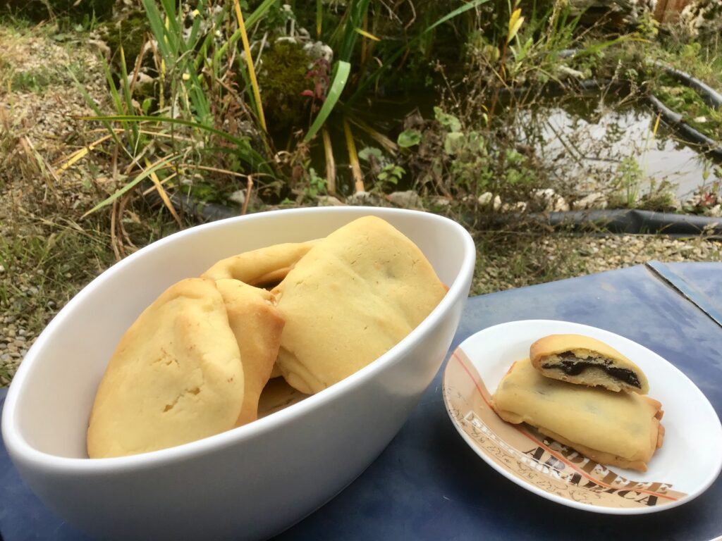 Biscuits type Kango