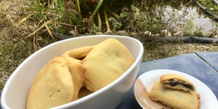 Biscuits type Kango