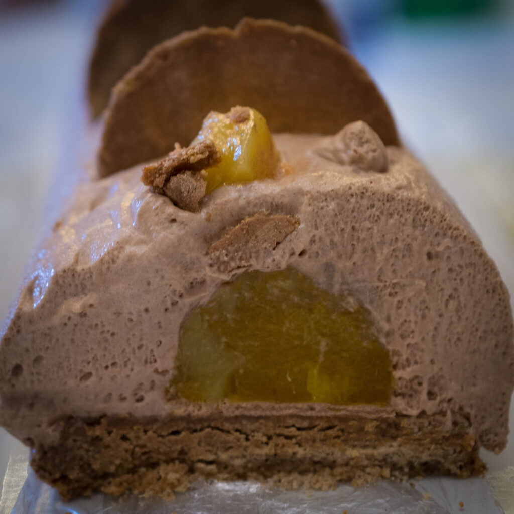 bûche chocolat au lait, fruits de la passion et mangue